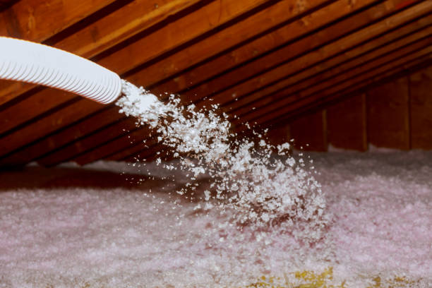 Best Energy Efficiency Solutions in Rapids, NY