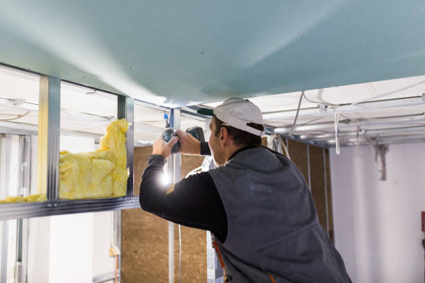 Best Insulation for Specific Applications in Rapids, NY