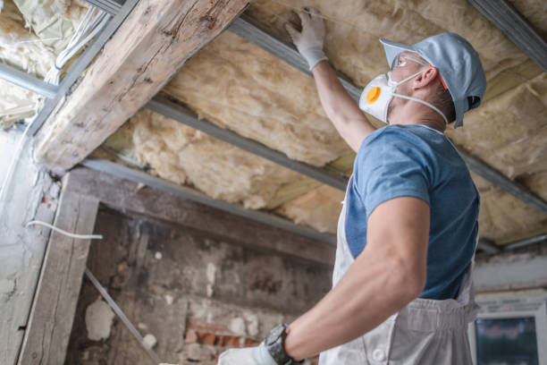 Best Insulation Maintenance and Repair in Rapids, NY