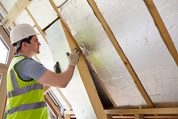 Best Residential Insulation in Rapids, NY
